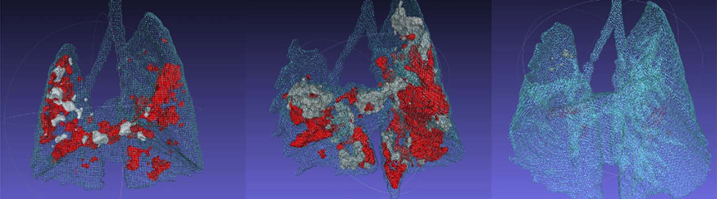 Center for Translational Imaging hero image from the official CTI site