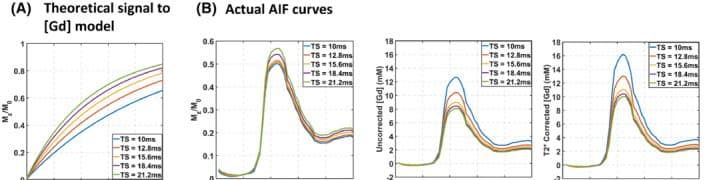 First-pass perfusion CMR signal curves relevant to pulmonary transit-time quantification